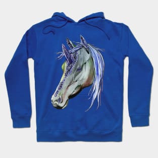 Geode Unicorn Hoodie